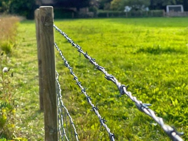Barbed Wire above Stock Fencing